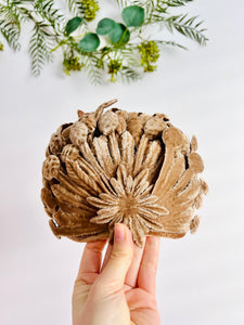 Vintage 1940s brown velvet fascinator