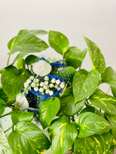 Load image into Gallery viewer, Vintage 1930s fascinator green velvet millinery flowers
