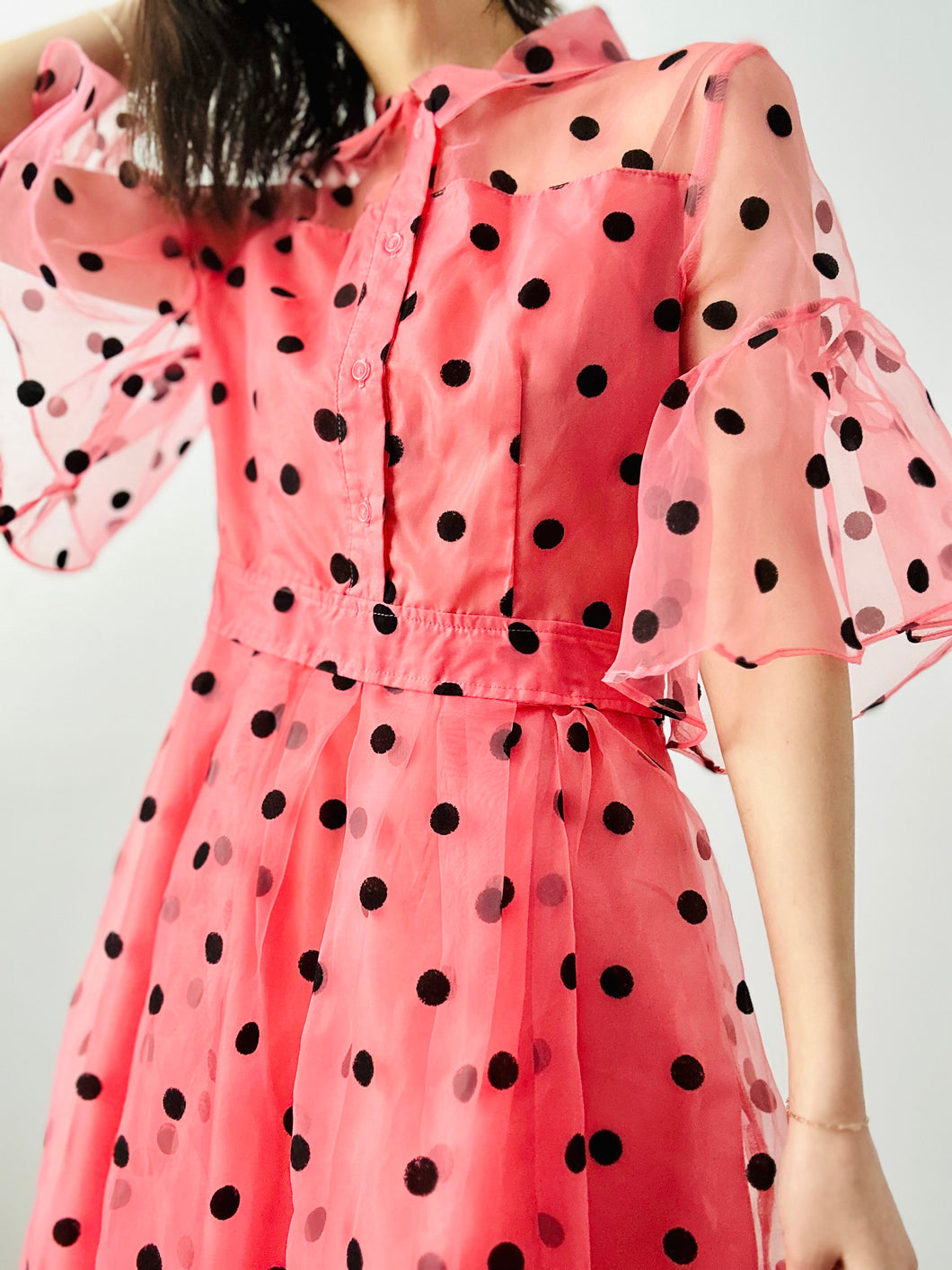 Vintage polka dot organza dress